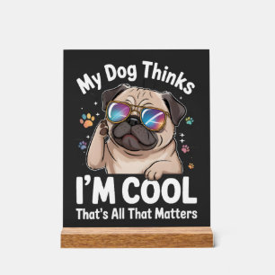 Mon chien pense que je suis cool c'est tout ce qui