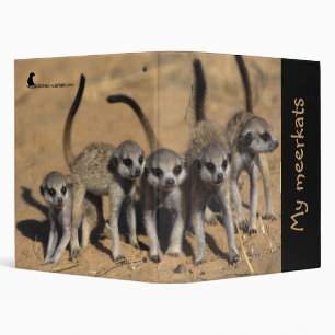 Mon classeur de Meerkats