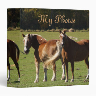 Mon classeur de photos