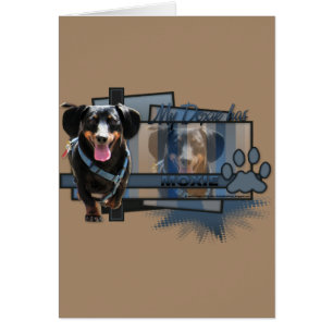 Mon Doxie a le Moxie