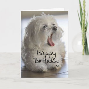 **MON MEILLEUR AMI** JOLIE CARTE D'ANNIVERSAIRE
