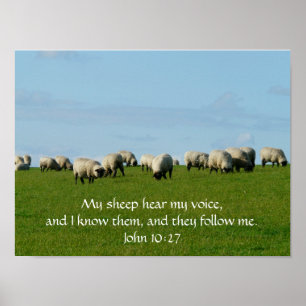 Mon mouton Entend Mon Affiche De Voix