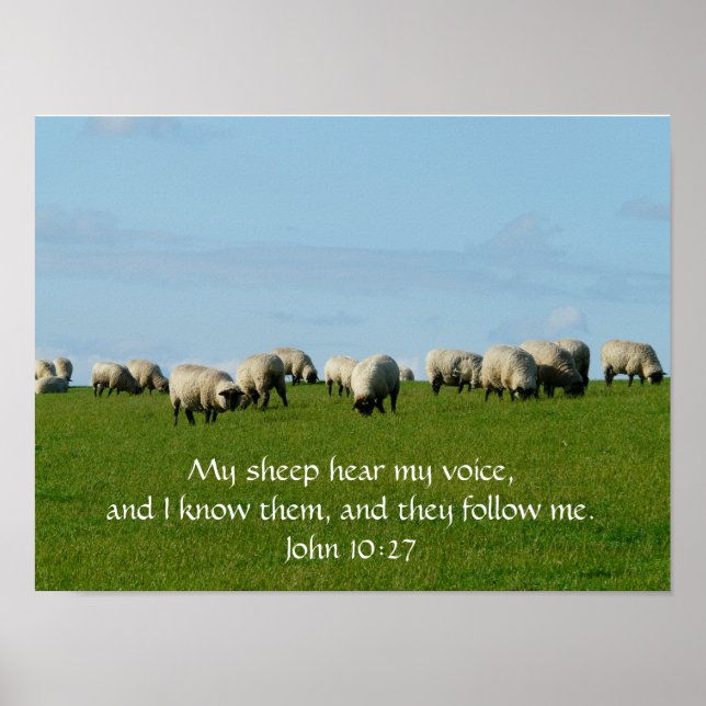 Mon mouton Entend Mon Affiche De Voix (Devant)
