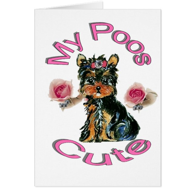 Mon Poos migre (Devant)