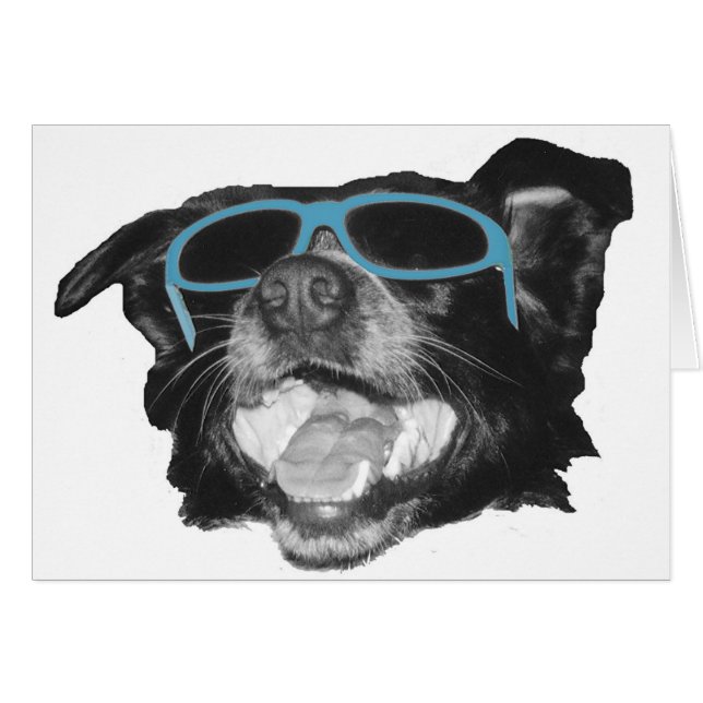 Mon pote (Devant horizontal)