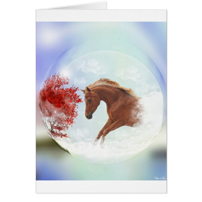 Mon rêve parfait (Devant)