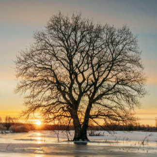 "Mon traitement est du café" Mug de café