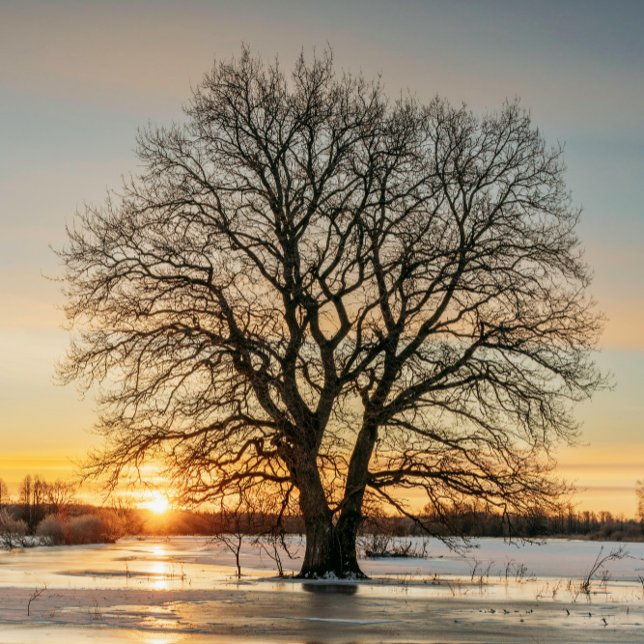 "Mon traitement est du café" Mug de café (Créateur téléchargé)