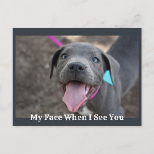 Mon Visage Quand Je Vous Vois Mignonne Carte Posta