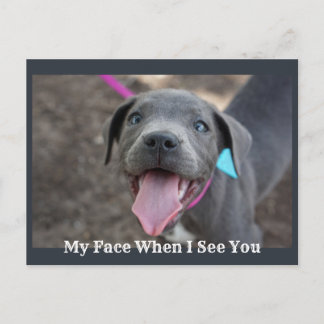 Mon Visage Quand Je Vous Vois Mignonne Carte Posta