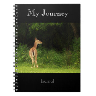 Mon voyage - journal
