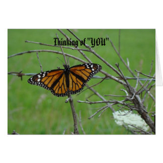 Monach Open Wings, Thinking of "YOU"