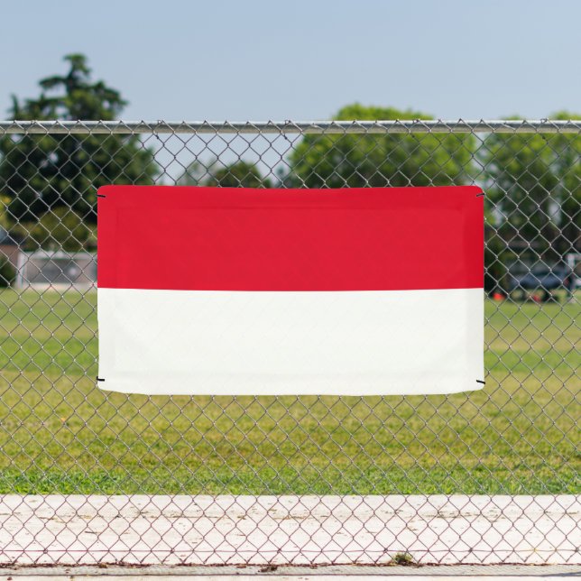 Monaco flag of Monte Carlo custom banner sign (Insitu)