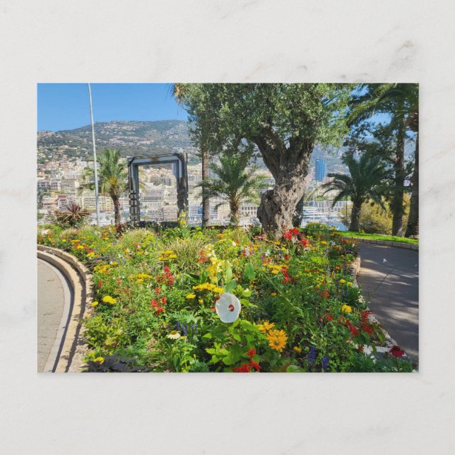 Monaco  postcard (Front)