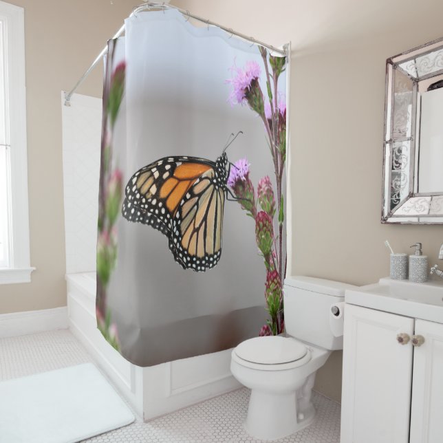 Monarch (In Situ)