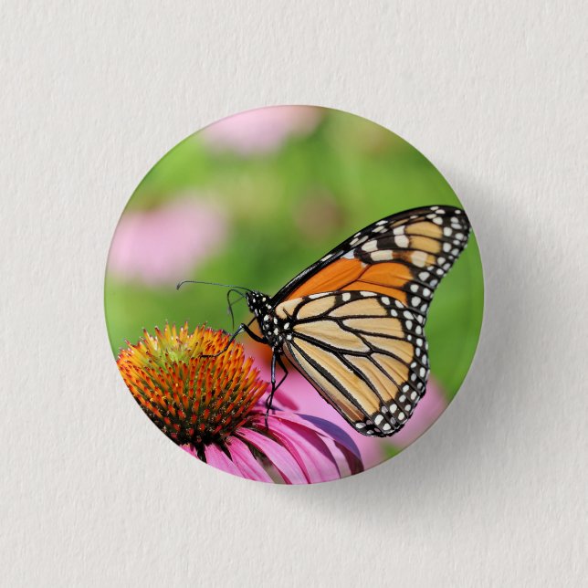 Monarch    1 inch round button (Front)