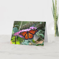 Monarch 5100 Wedding Congratulations Card
