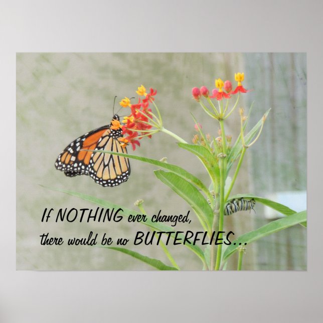 Monarch and Caterpillar Poster with Quote (Front)