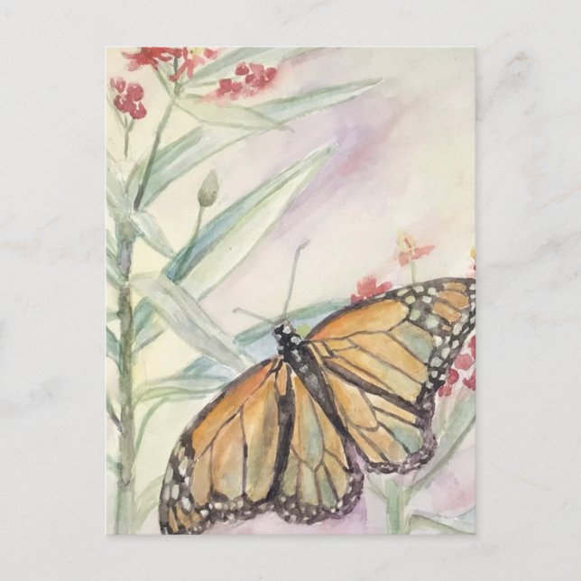 Monarch and Milkweed Postcard (Front)