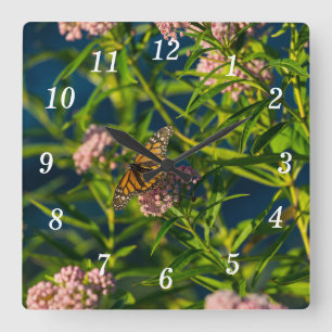 Monarch And Milkweed Wall Clock
