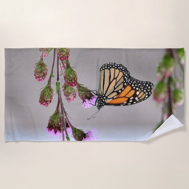 Monarch Beach Towel (Front)