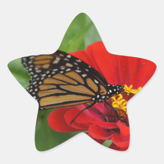 Monarch Beauty Star Sticker