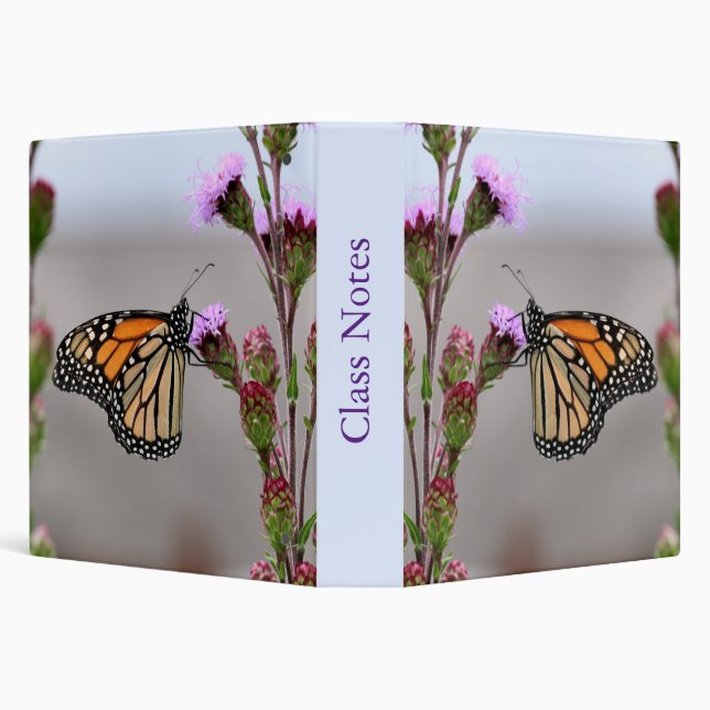 Monarch Binder (Background)