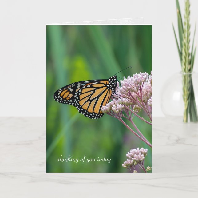 monarch butter on milkweed card (Front)