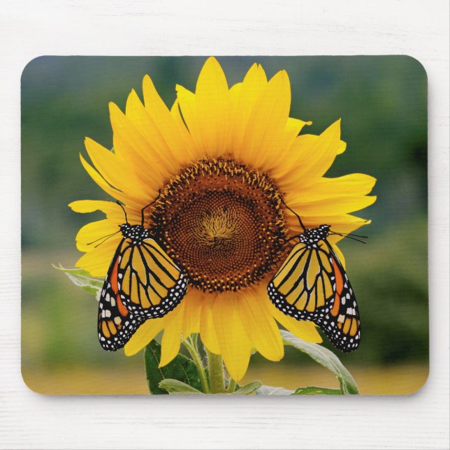 Monarch Butterfies on Sunflower Mouse Pad (Front)