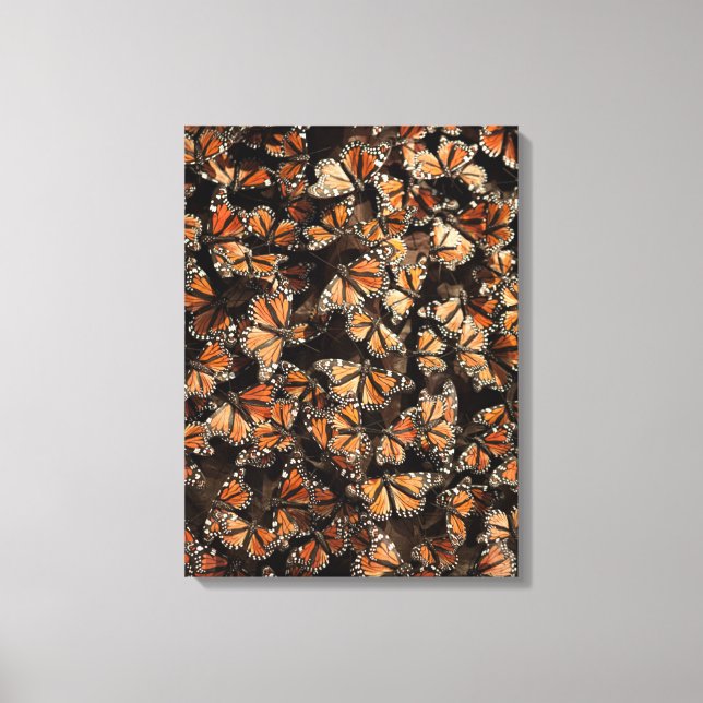 Monarch Butterflies 2 Canvas Print (Front)