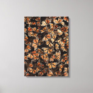 Monarch Butterflies 2 Canvas Print