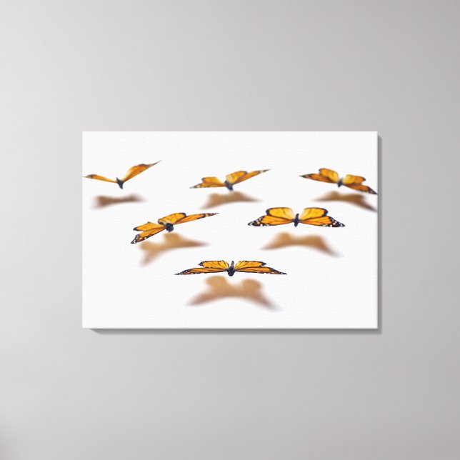 Monarch Butterflies Canvas Print (Front)