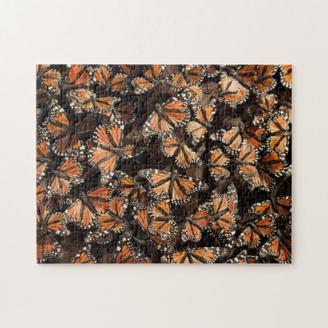 Monarch Butterflies Jigsaw Puzzle (Horizontal)