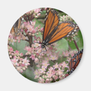 Monarch Butterflies Magnet