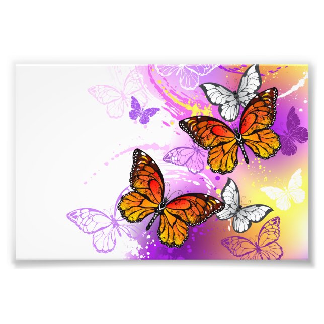 Monarch Butterflies on Purple Background Photo Print (Front)