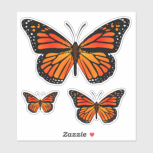 Monarch Butterfly