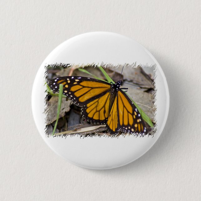 Monarch Butterfly 2 Inch Round Button (Front)