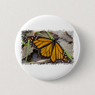 Monarch Butterfly 2 Inch Round Button