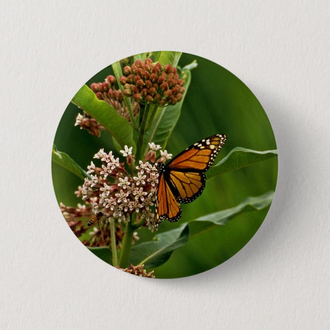 Monarch Butterfly 2 Inch Round Button (Front)