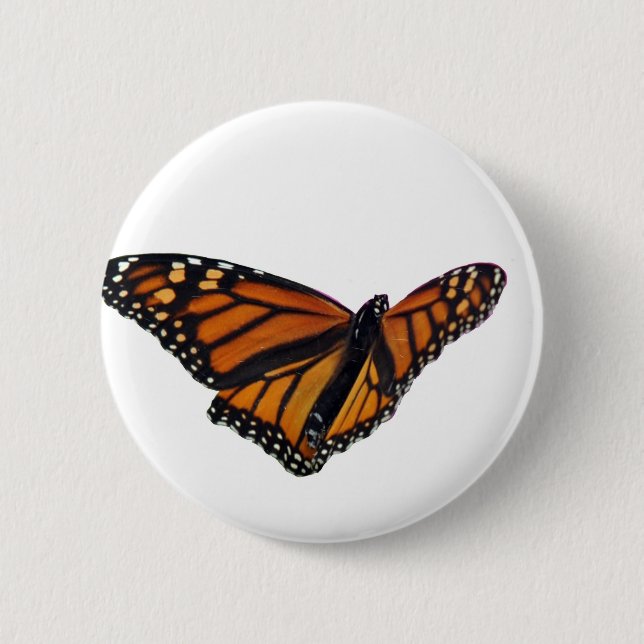 Monarch butterfly 2 inch round button (Front)
