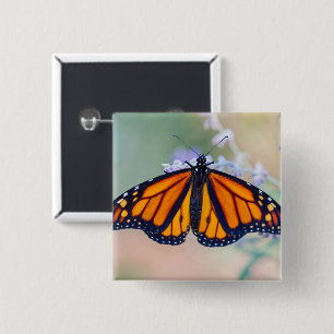 Monarch Butterfly 2 Inch Square Button