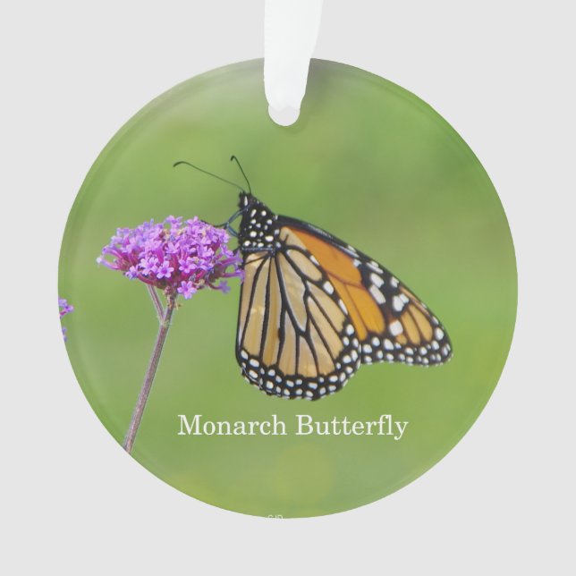 Monarch Butterfly acrylic ornament (Front)
