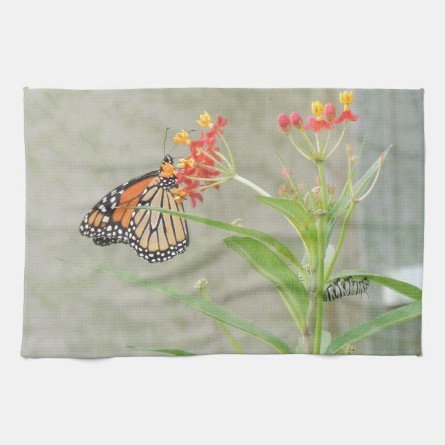 Monarch Butterfly and Caterpillar Kitchen Towel (Horizontal)
