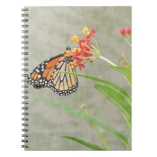 Monarch Butterfly and Caterpillar Notebook