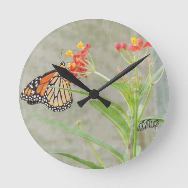 Monarch Butterfly and Caterpillar Round Clock (Front)