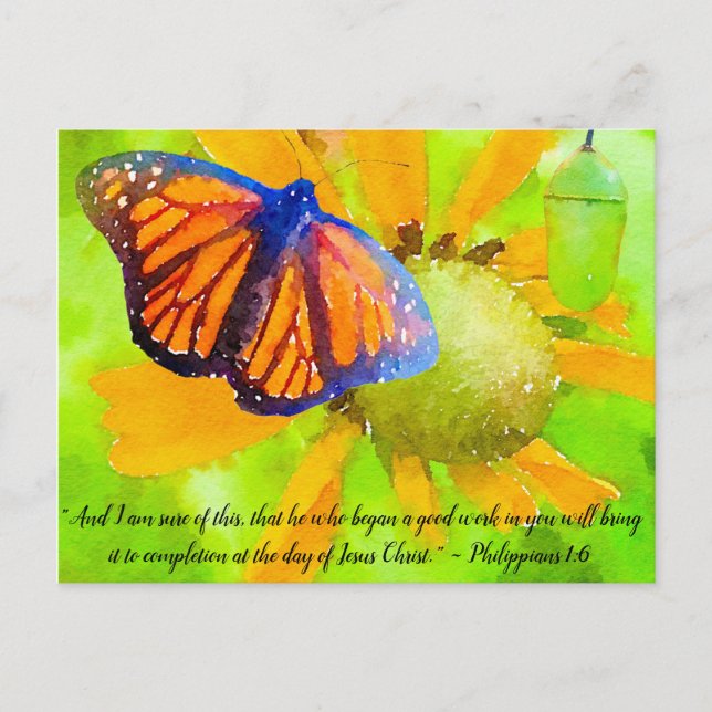 Monarch Butterfly and Chrysalis Philippians 1:6 Postcard (Front)