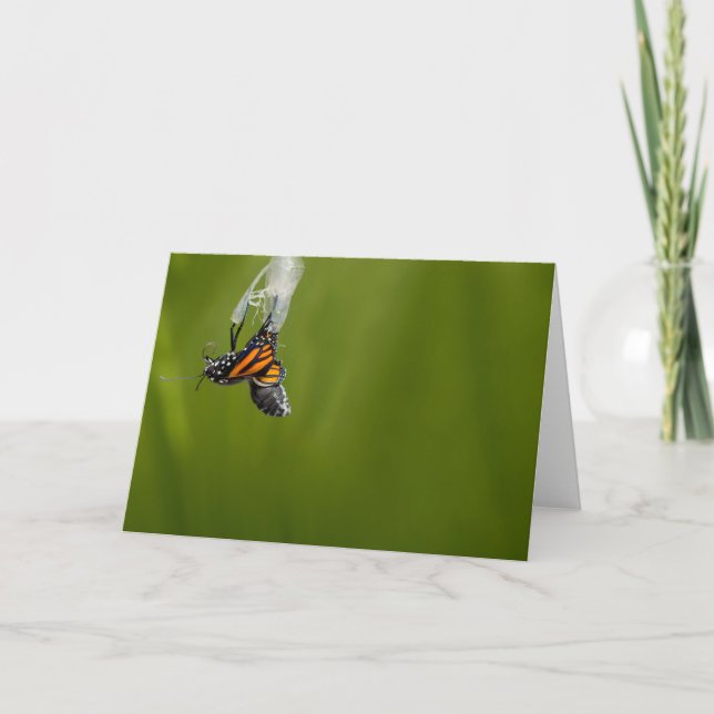 Monarch Butterfly Being Born Greeting Card (Front)