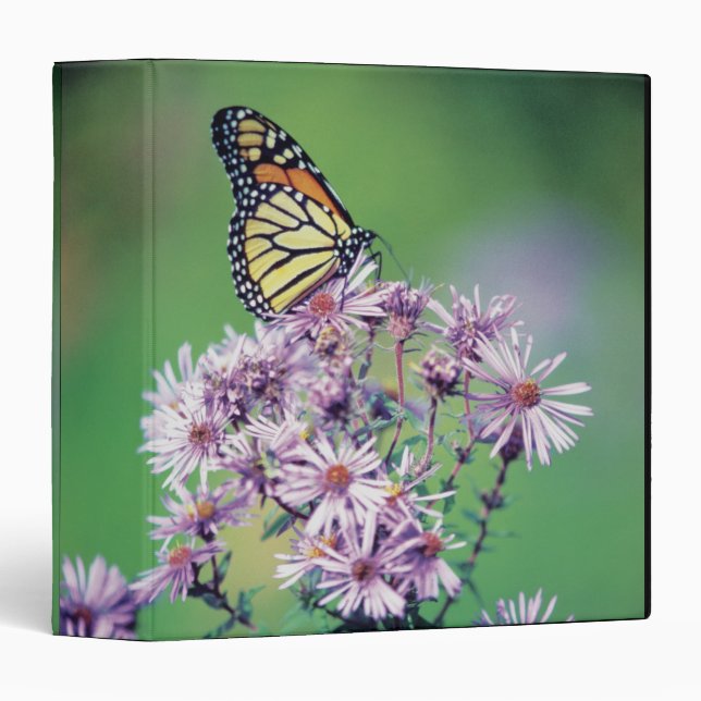 Monarch Butterfly Binder (Front/Spine)