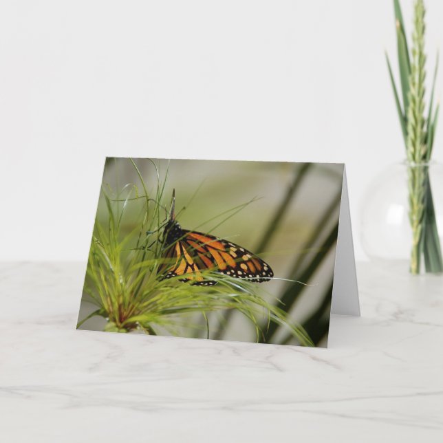 Monarch Butterfly Blank Card (Front)
