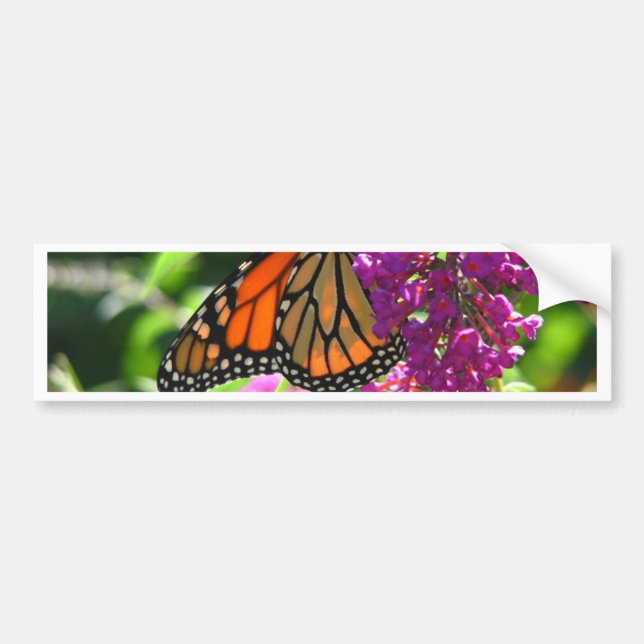 Monarch Butterfly Bumper Sticker (Front)